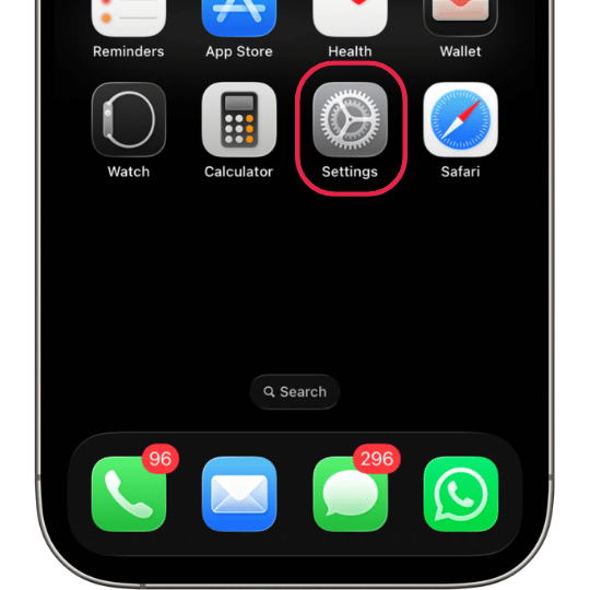 iPhone Settings screen