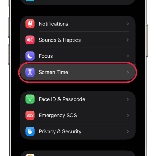 Screen Time option in iPhone Settings